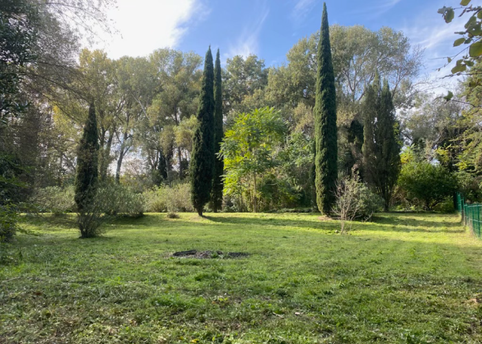 entretien jardin pignan