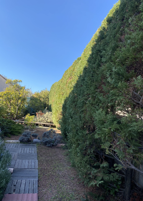 entretien jardin pignan